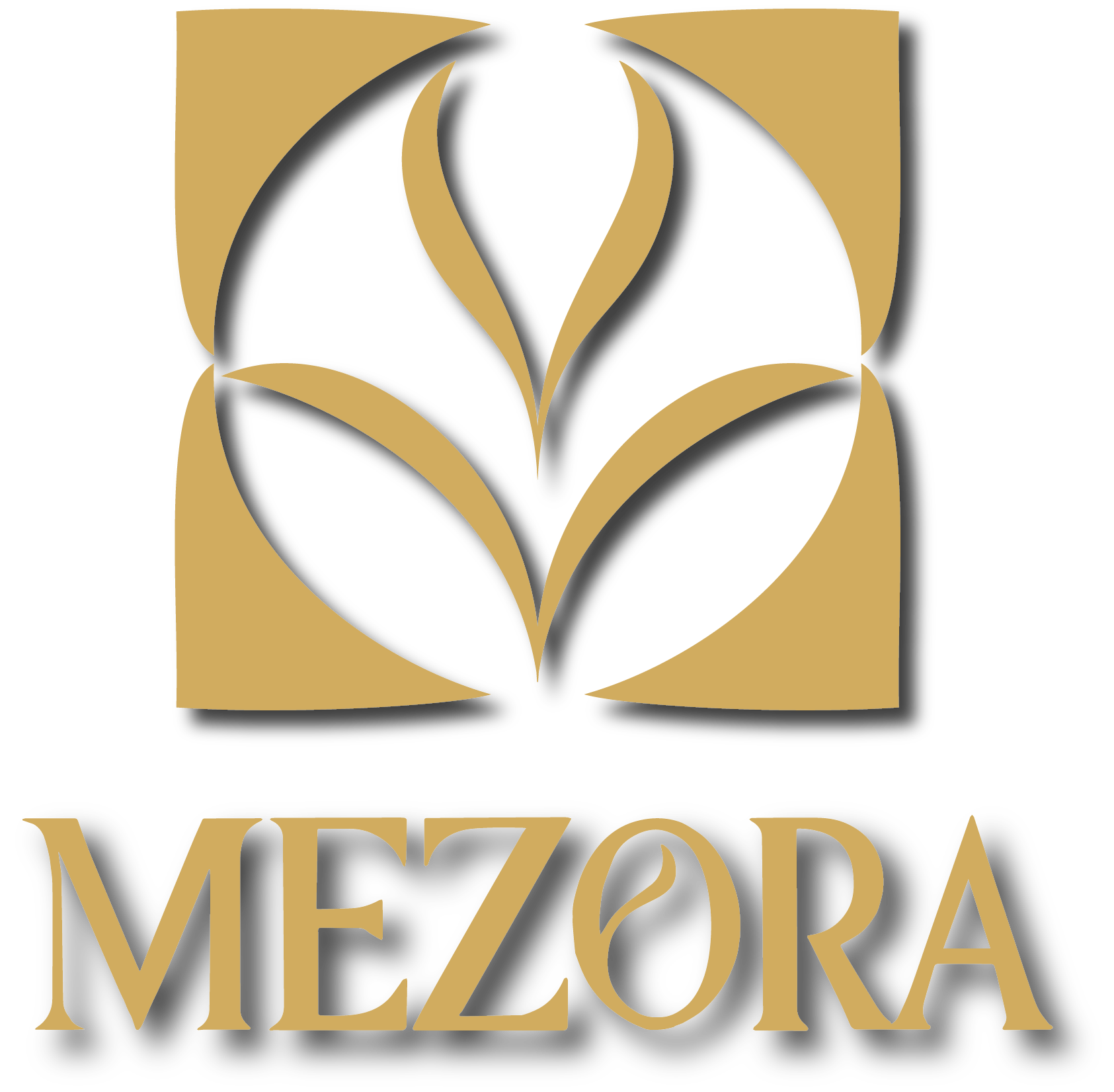 Mezora Logo